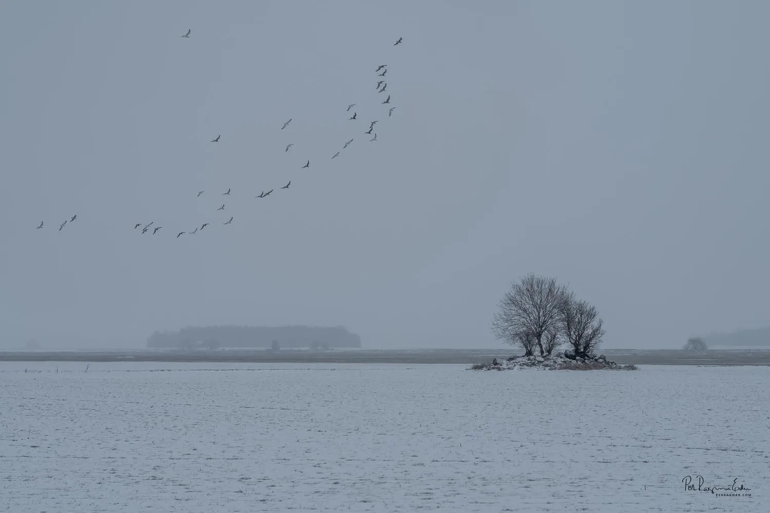 Vinterlandskap