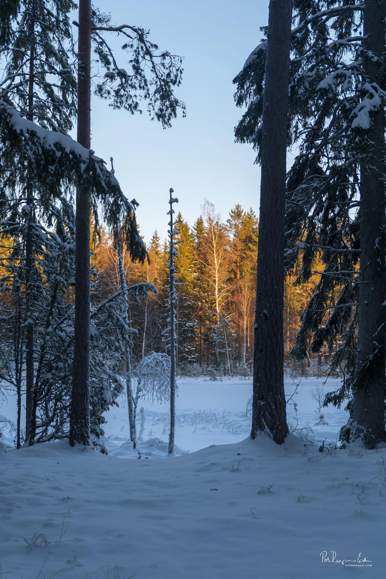 Järndammen