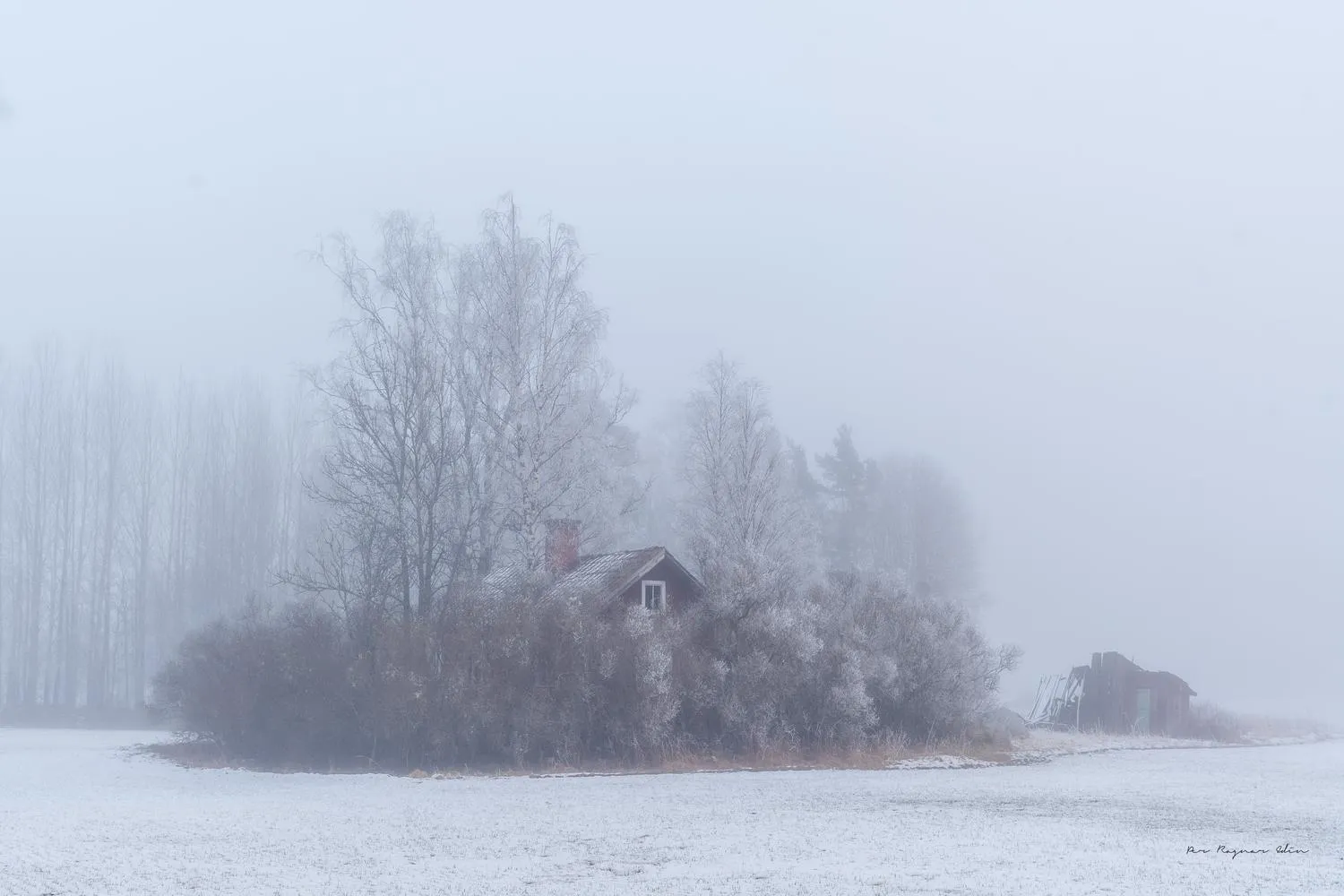 Torpet i dimma – ett år senare