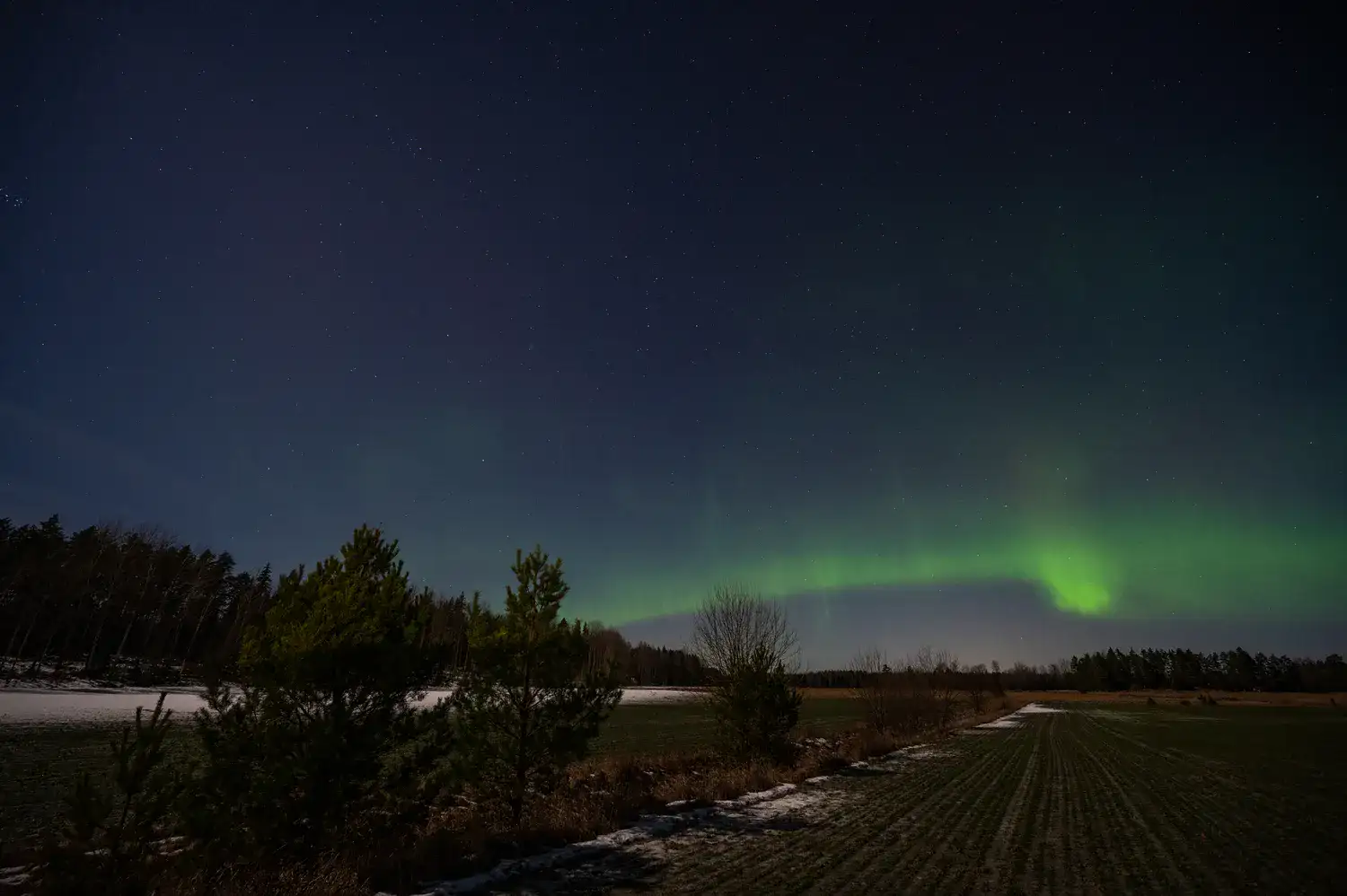 Norrsken i Ransta