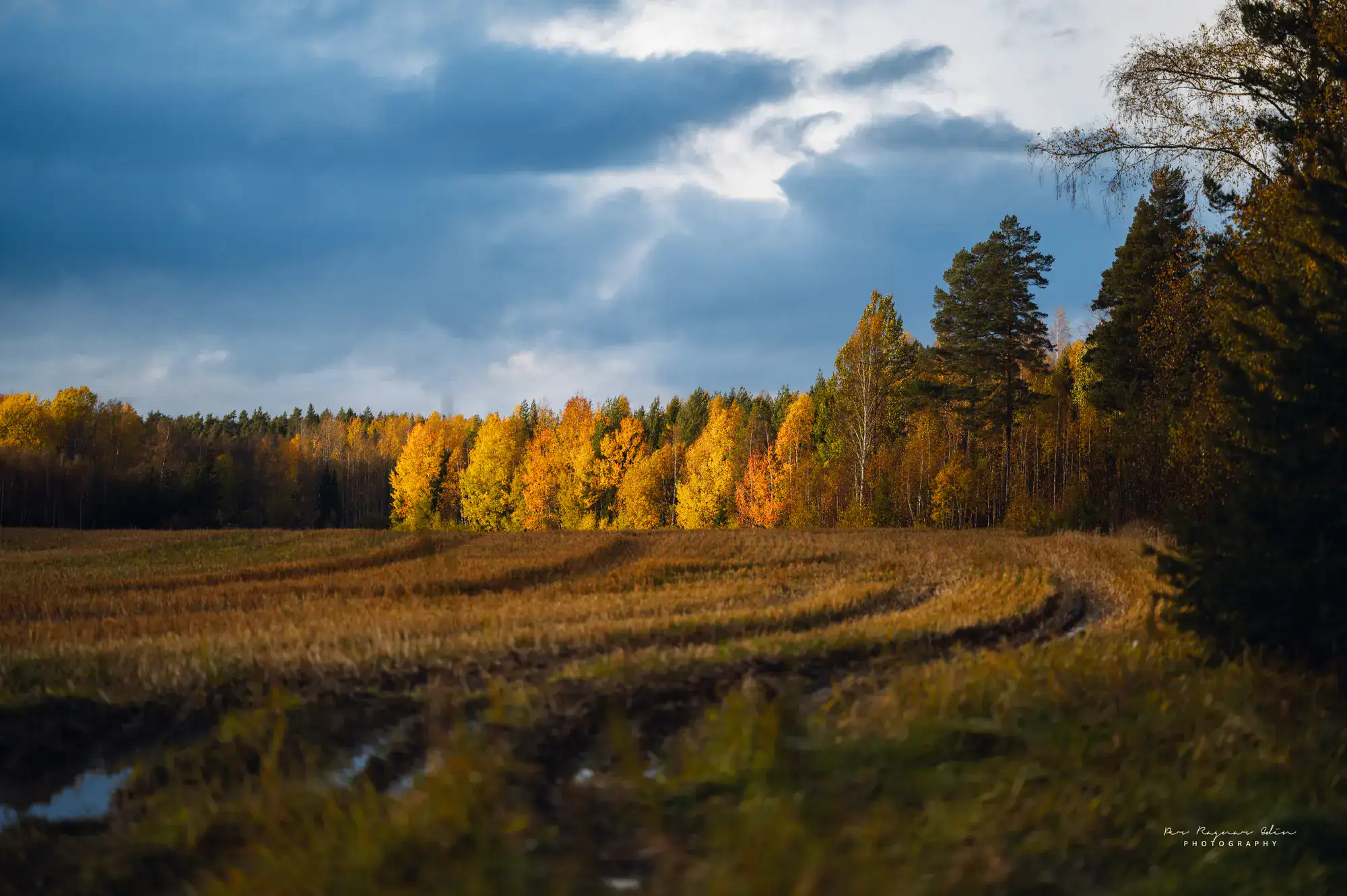 Höstpromenad