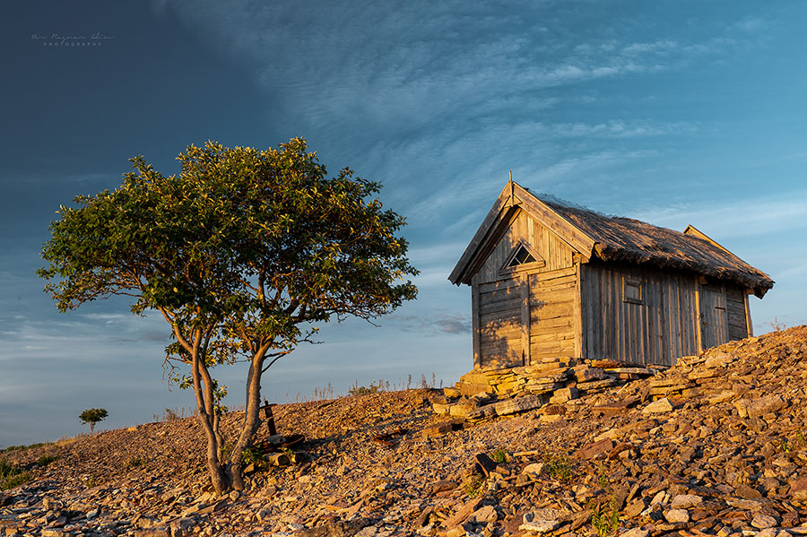 Galleribilden Den gamle och havet