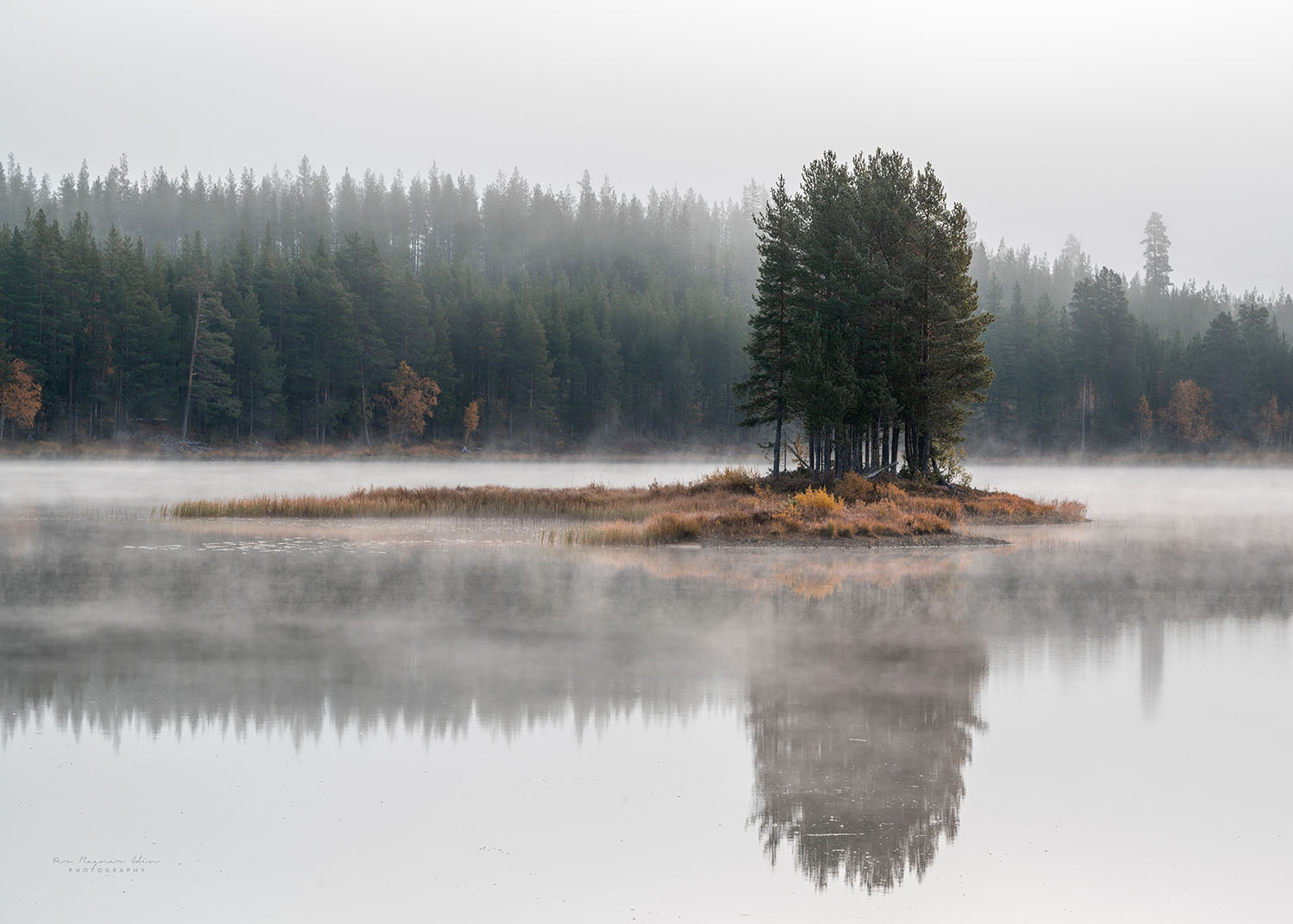 Morgondimma
