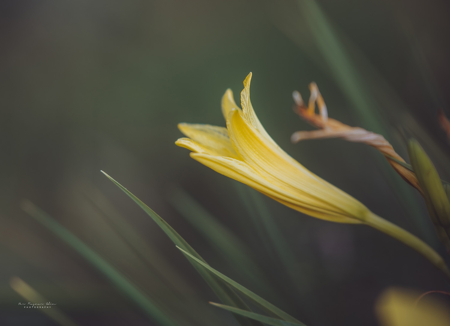 Reaching